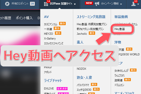 無料ポイントで遊ぶ！DXライブを完全無料で楽しむ3つの方法　Hey動画へアクセス
